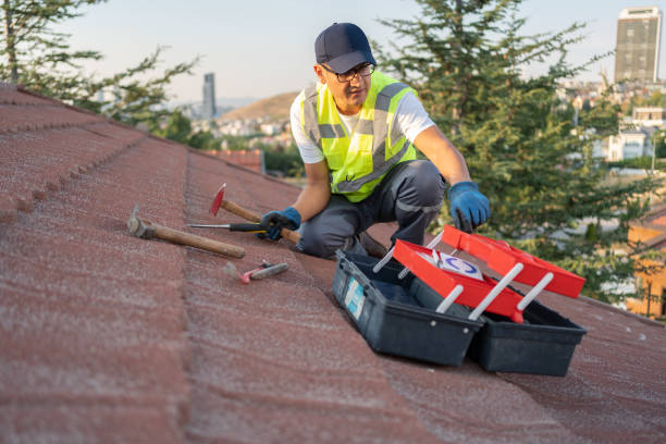 Professional Siding in Mountain House, CA